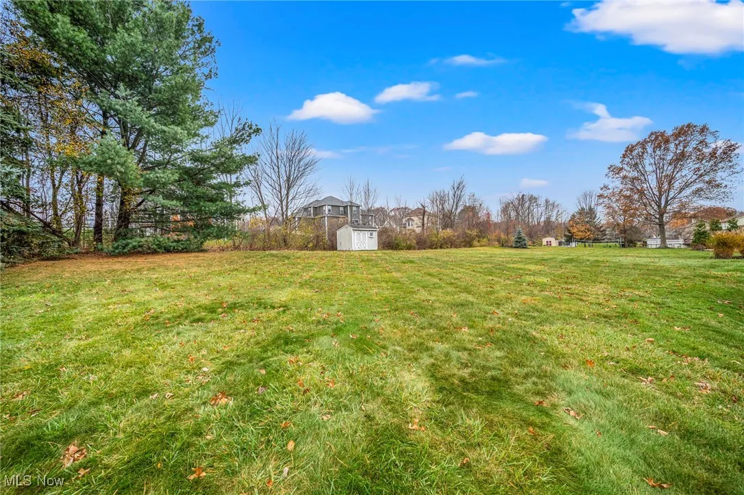 View of grassy yard featuring a storage shed