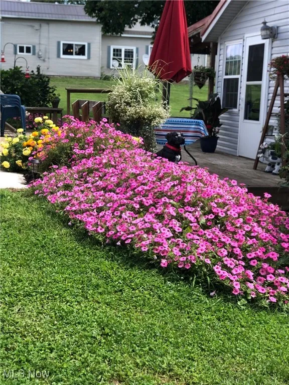 33346 Township Road 518, Walhonding, Ohio 43843,MLS Now Listing ID