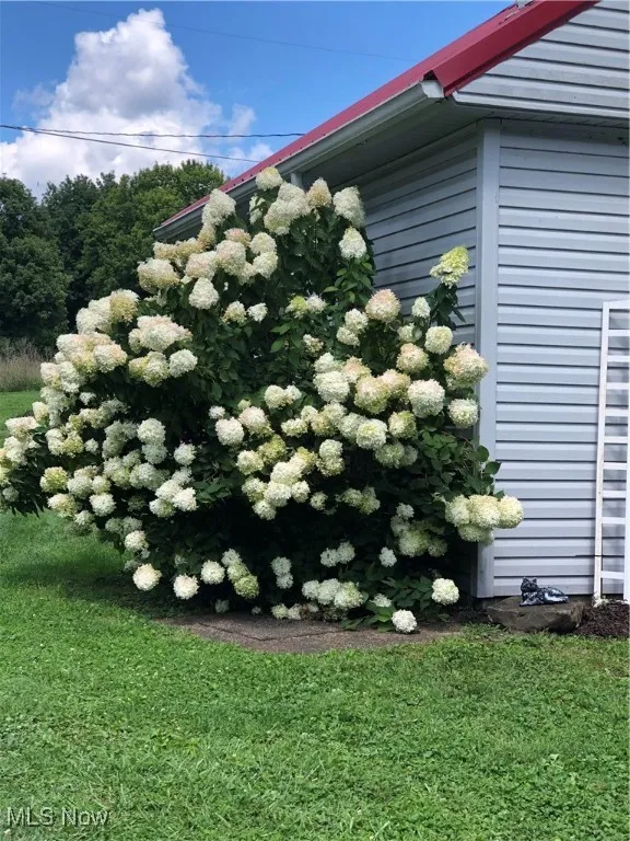 33346 Township Road 518, Walhonding, Ohio 43843,MLS Now Listing ID