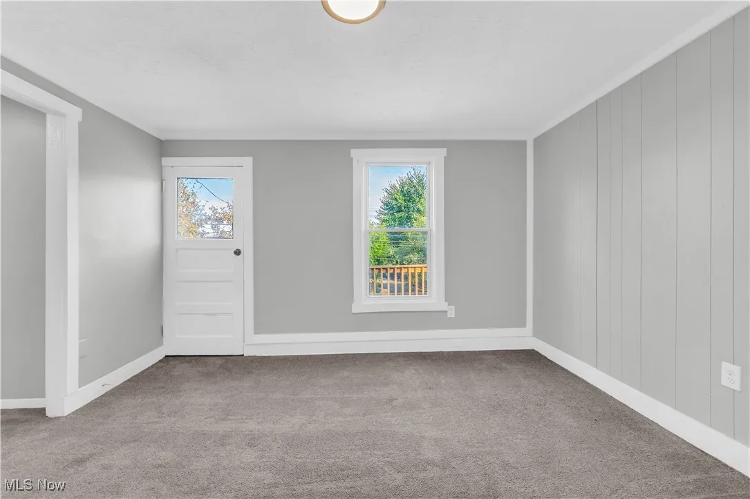 Carpeted spare room featuring plenty of natural light