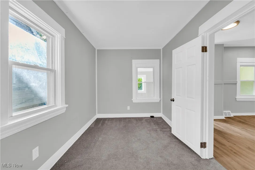 Spare room featuring healthy amount of natural light and light colored carpet