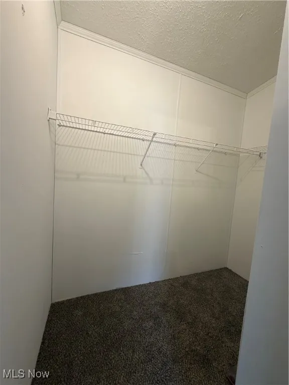 Spacious closet featuring carpet
