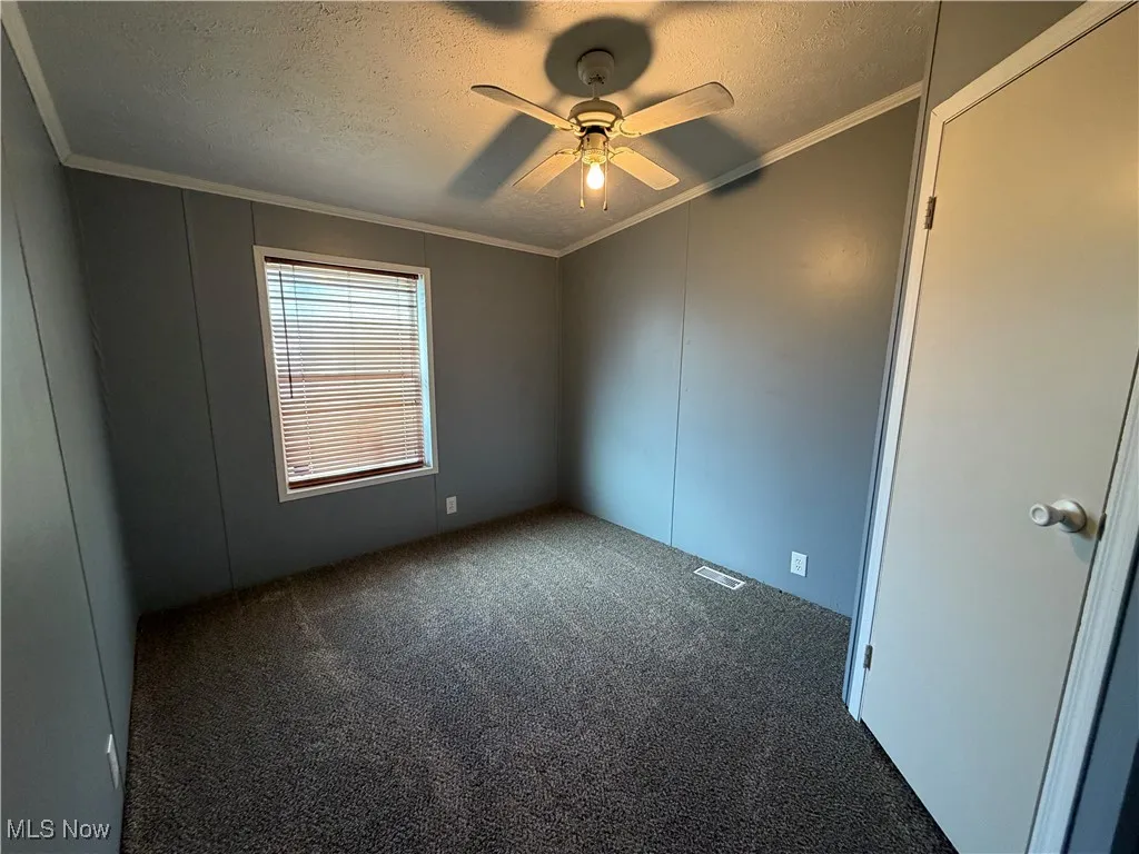 Spare room featuring crown molding, carpet, a textured ceiling, ceiling fan, and a decorative wall