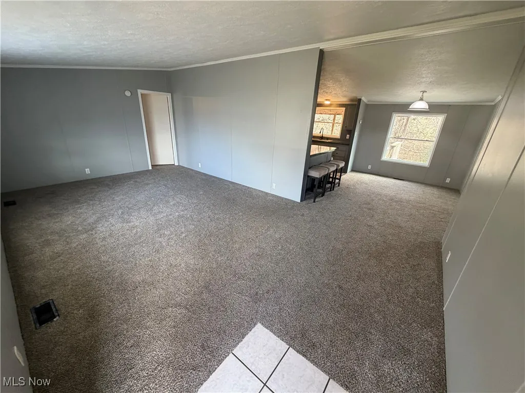 Tiled spare room featuring carpet floors, crown molding, a textured ceiling, and a decorative wall