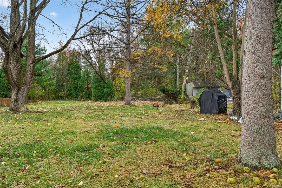 7087 Mackenzie Road, Olmsted Twp, Ohio 44138,MLS Now Listing ID