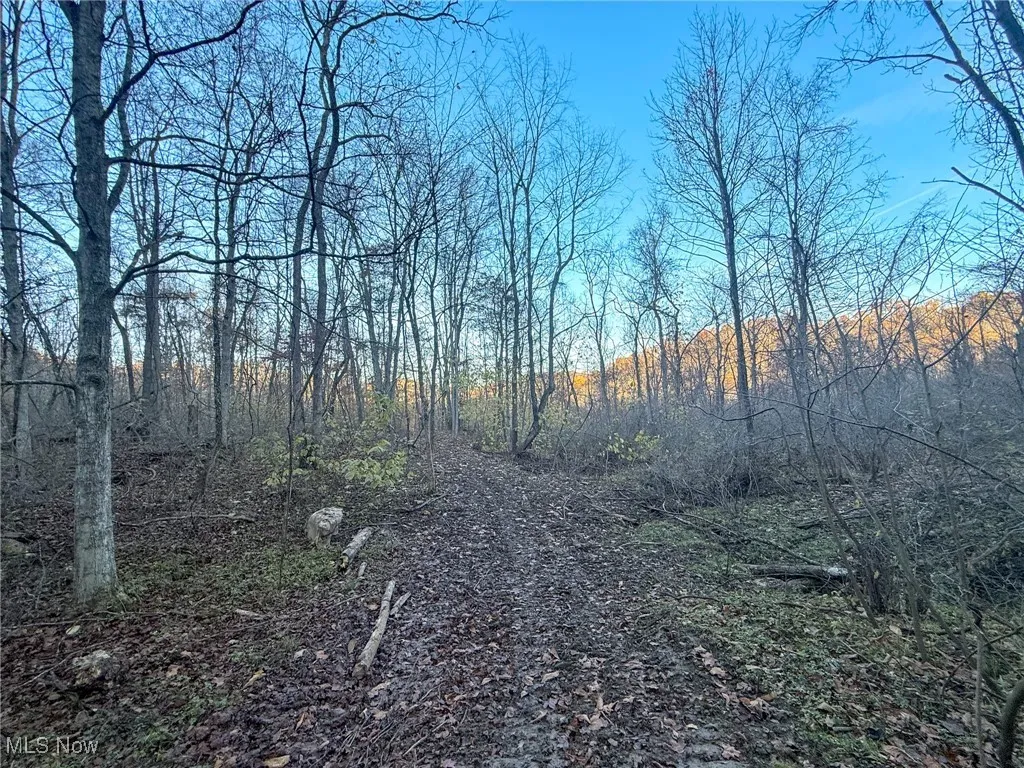 View of undeveloped land