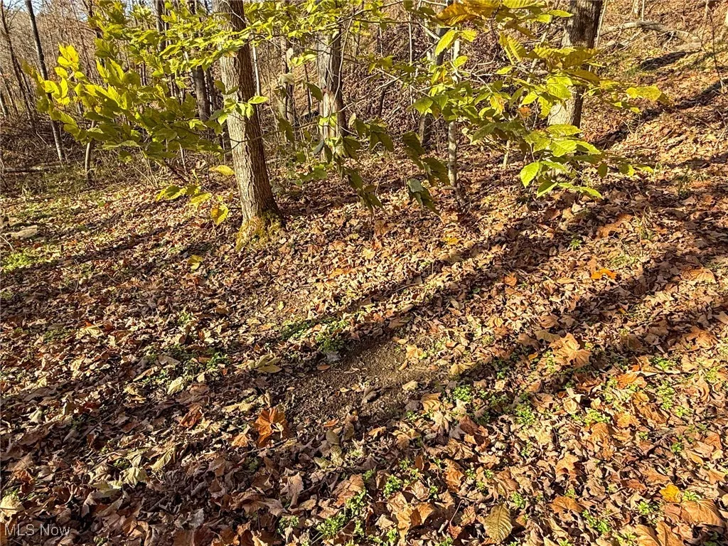 View of undeveloped land