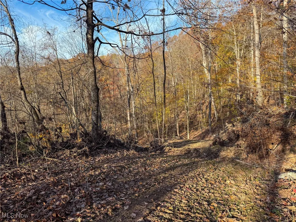 View of undeveloped land