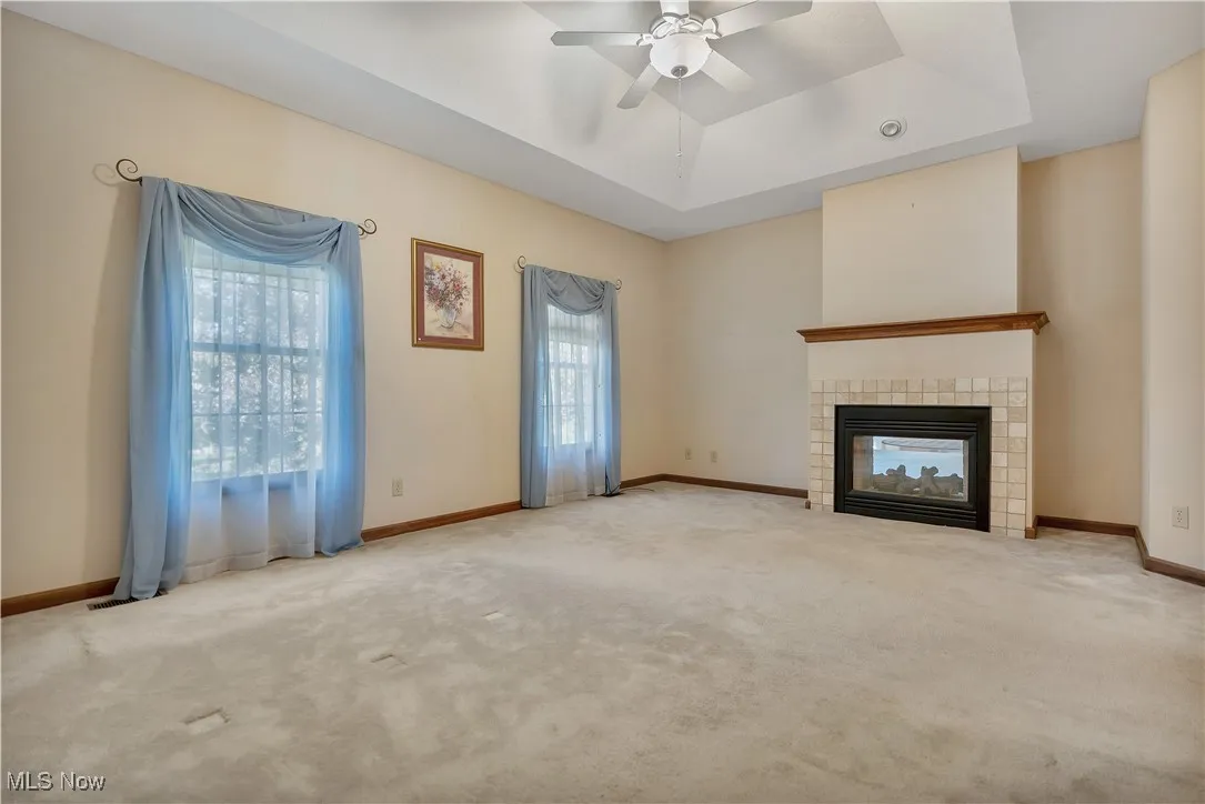 With fireplace and ceiling fan