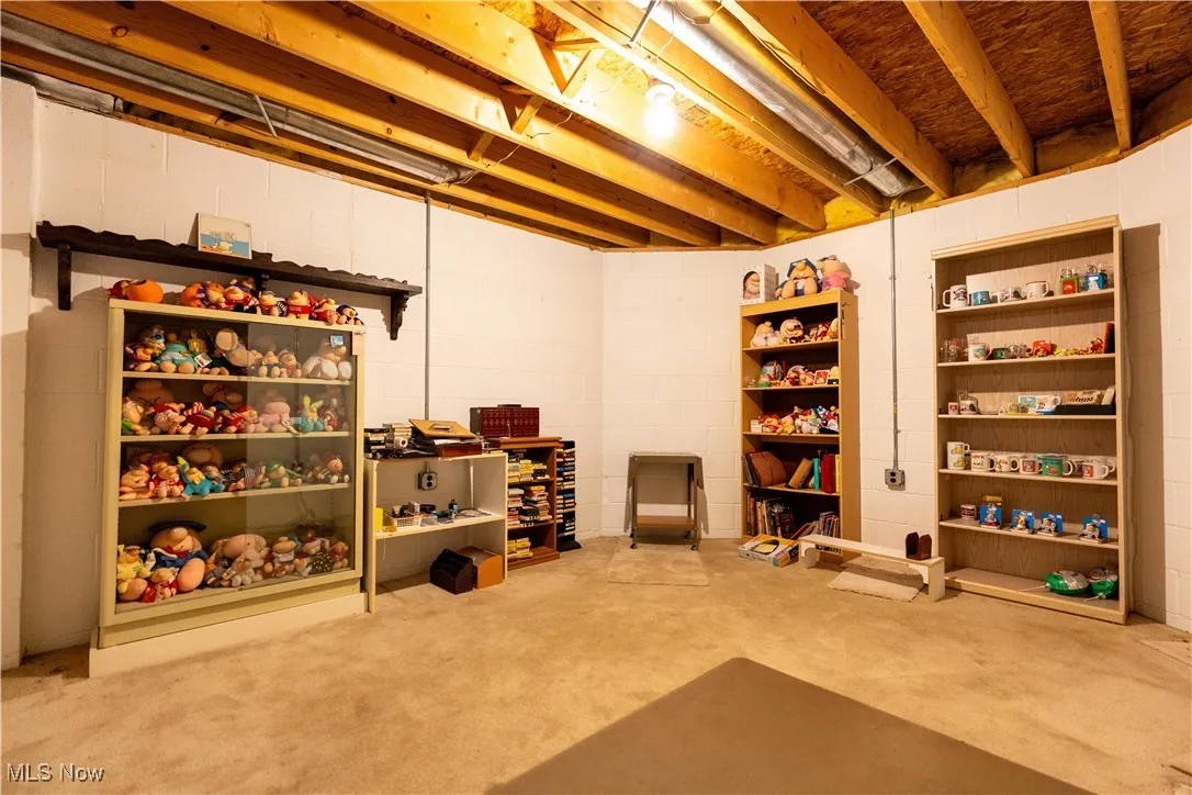 Partial finished room in the basement