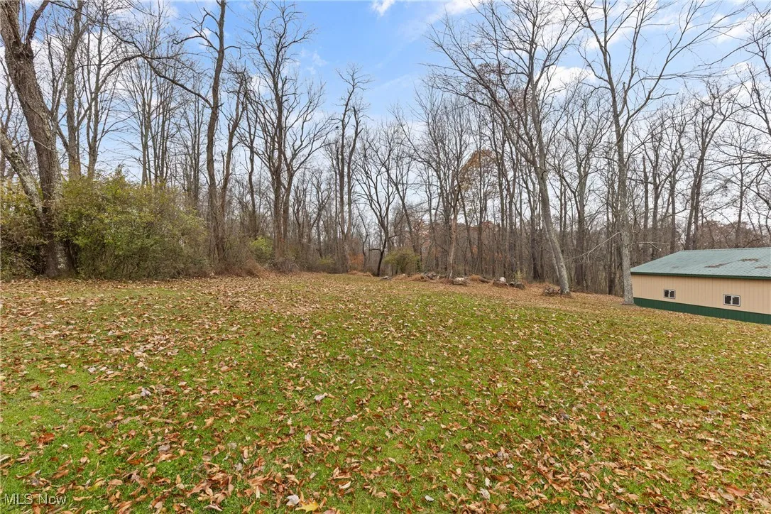 View of grassy yard with a forest view