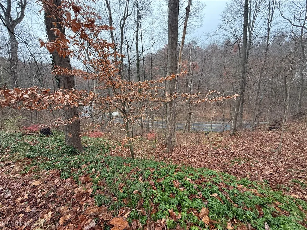 1500 N Revere Road, Bath, Ohio 44333,MLS Now Listing ID