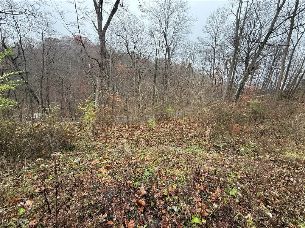 1500 N Revere Road, Bath, Ohio 44333,MLS Now Listing ID