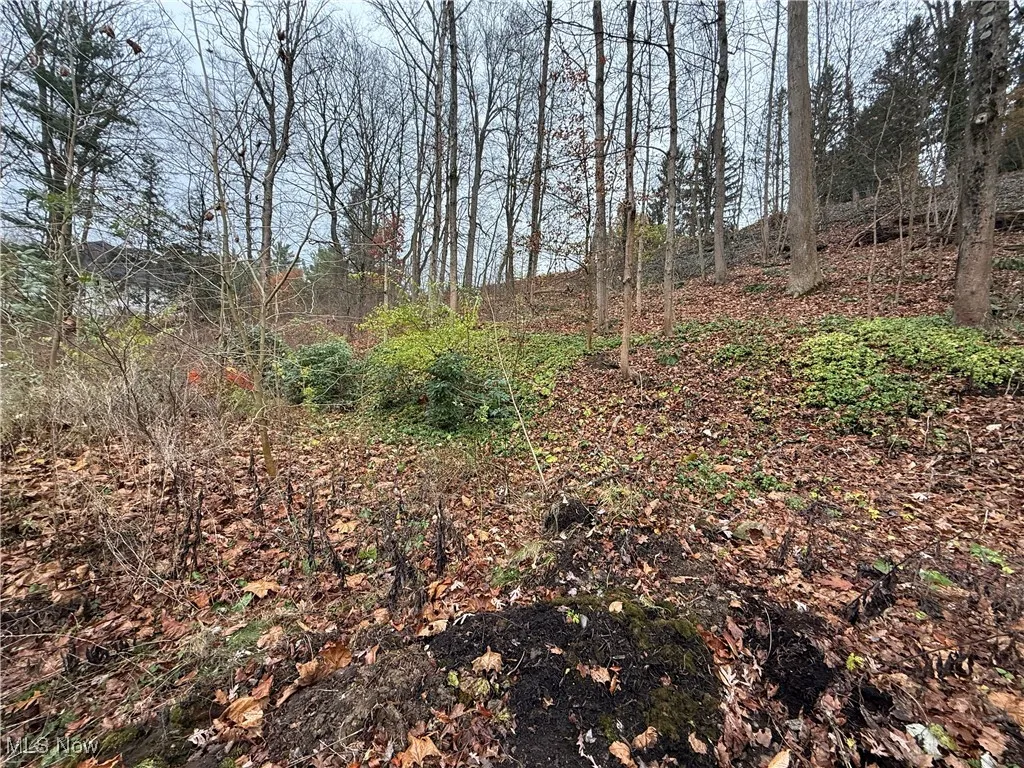 1500 N Revere Road, Bath, Ohio 44333,MLS Now Listing ID