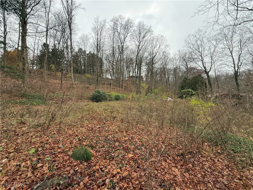 1500 N Revere Road, Bath, Ohio 44333,MLS Now Listing ID