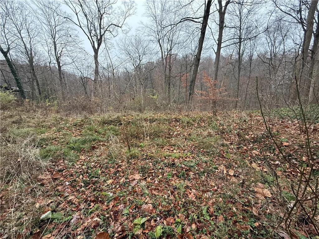 1500 N Revere Road, Bath, Ohio 44333,MLS Now Listing ID