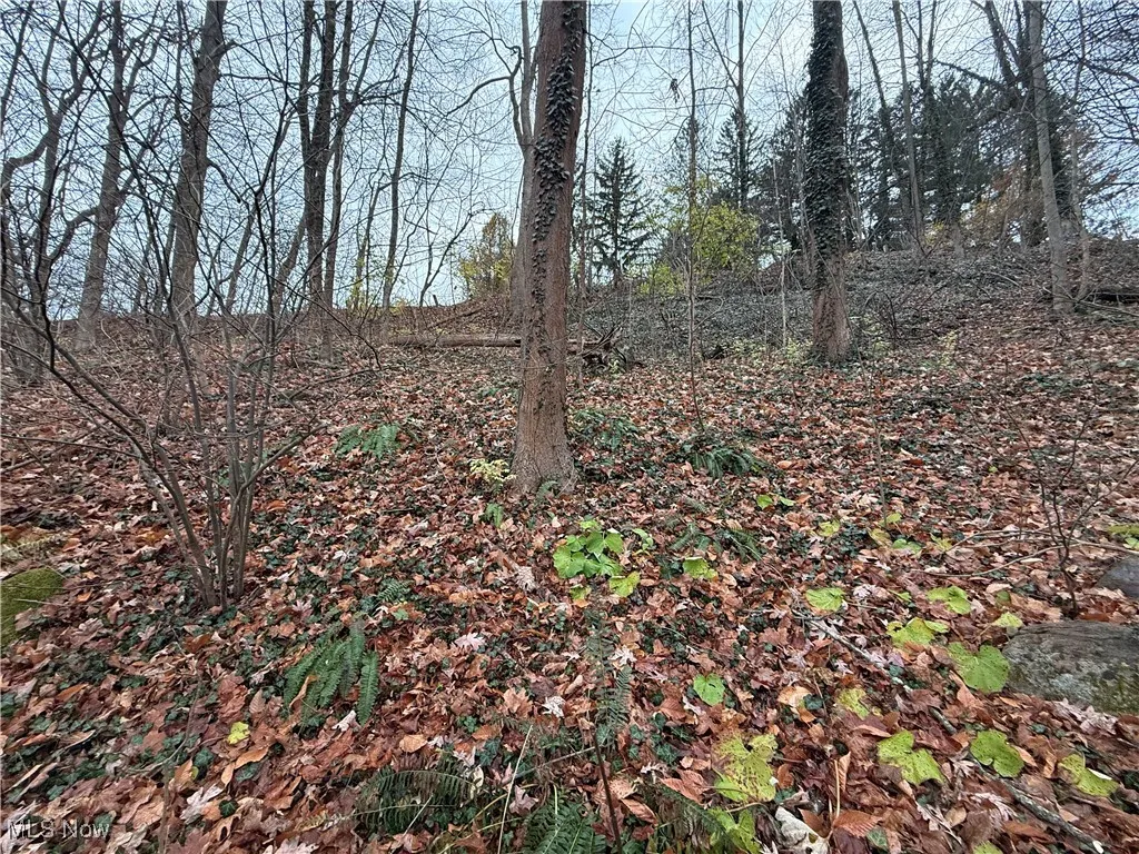 1500 N Revere Road, Bath, Ohio 44333,MLS Now Listing ID