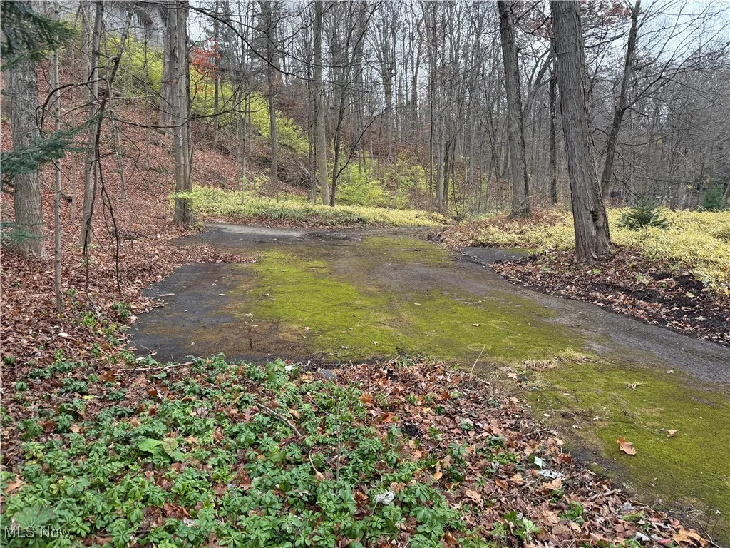 1500 N Revere Road, Bath, Ohio 44333,MLS Now Listing ID