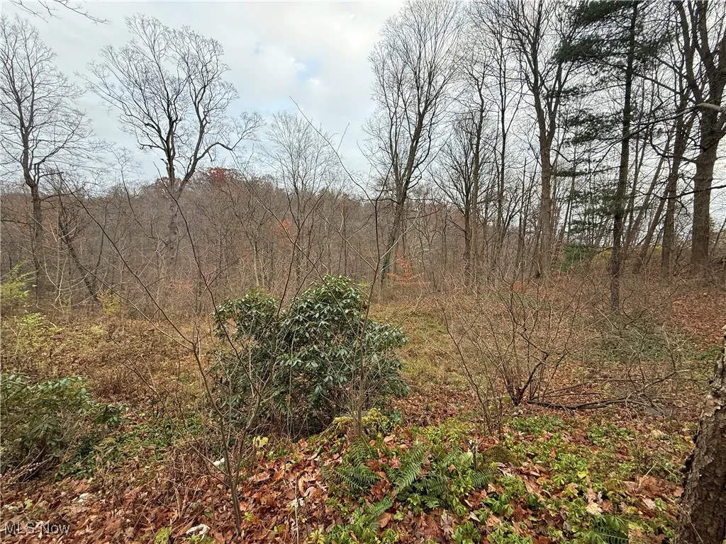 1500 N Revere Road, Bath, Ohio 44333,MLS Now Listing ID