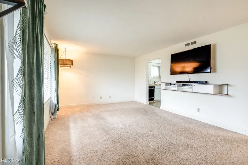 Unfurnished living room featuring light colored carpet and healthy amount of natural light