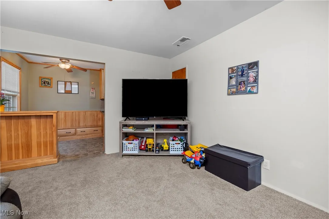 Rec room with carpet and a ceiling fan