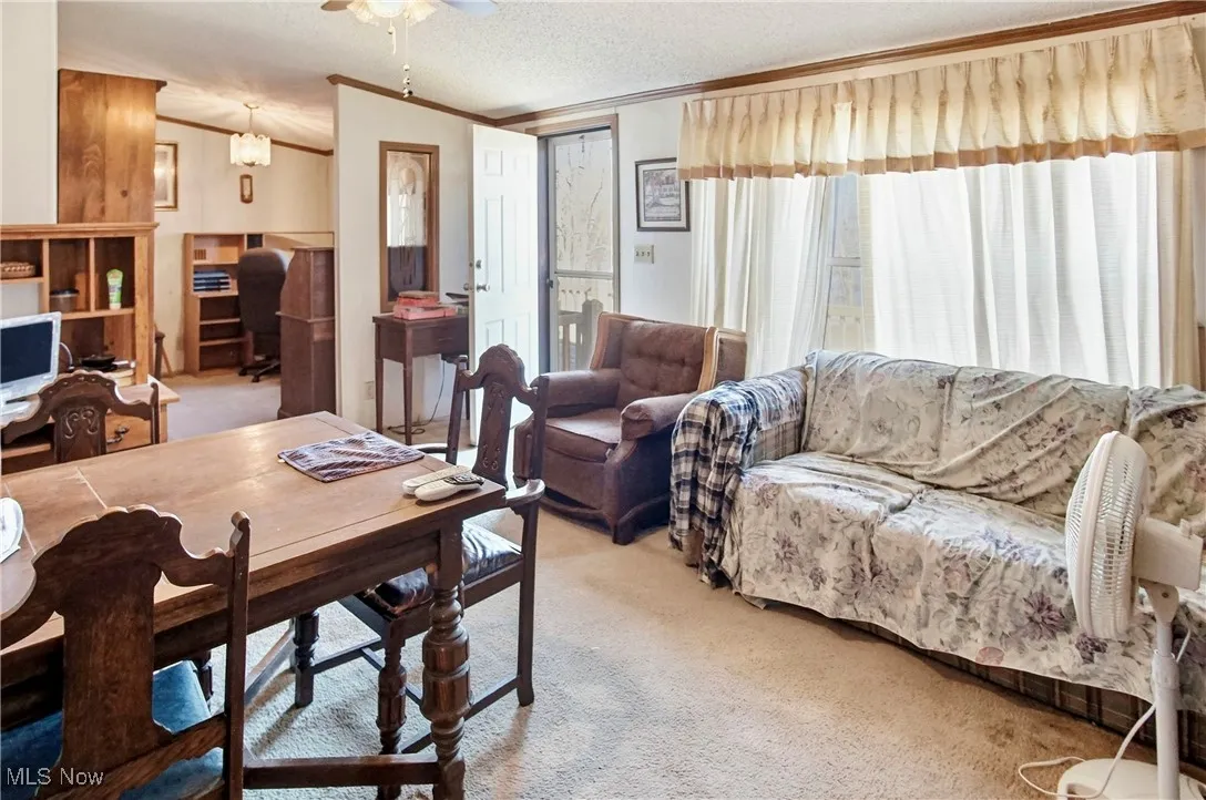 10115 Old River Road, Blue Rock, Ohio 43720,MLS Now Listing ID