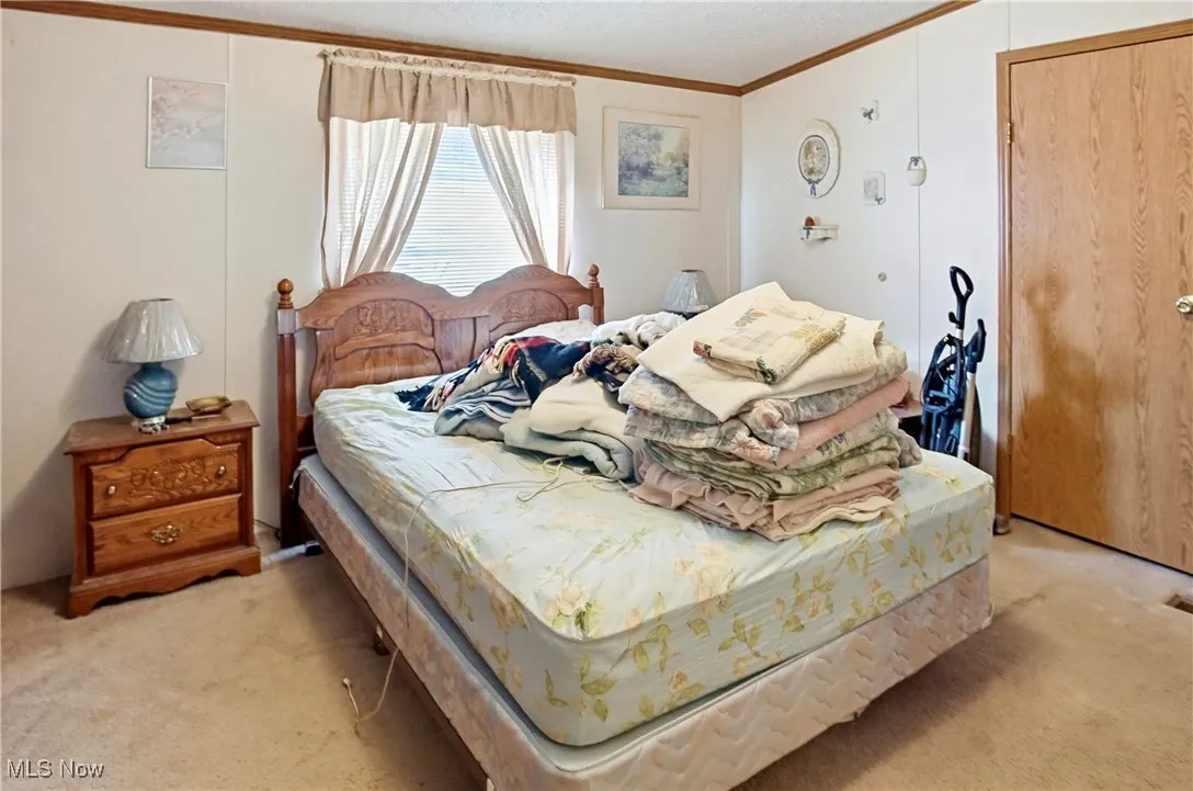 10115 Old River Road, Blue Rock, Ohio 43720,MLS Now Listing ID