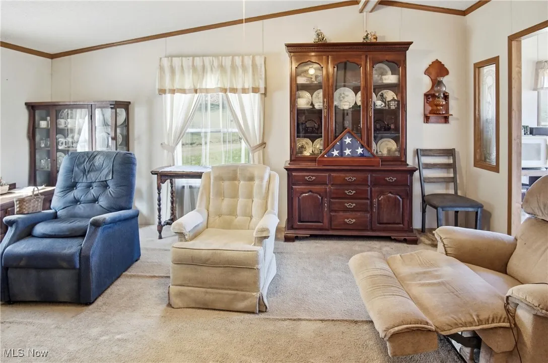 10115 Old River Road, Blue Rock, Ohio 43720,MLS Now Listing ID