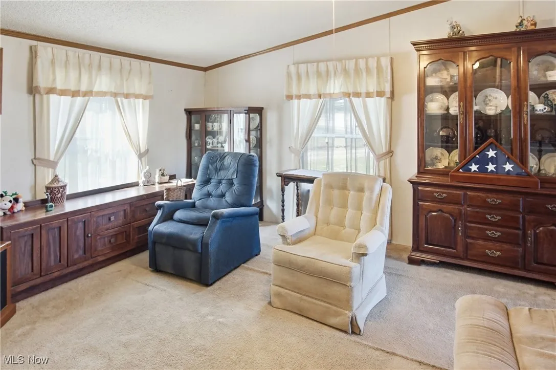 10115 Old River Road, Blue Rock, Ohio 43720,MLS Now Listing ID