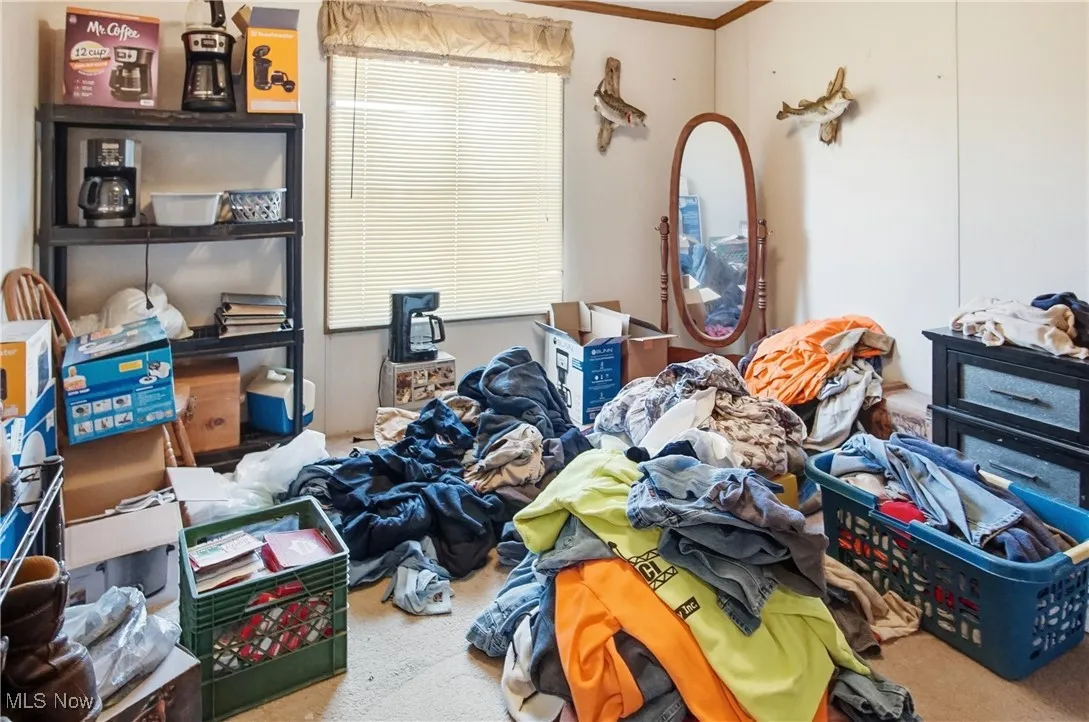 10115 Old River Road, Blue Rock, Ohio 43720,MLS Now Listing ID