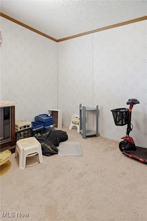 10115 Old River Road, Blue Rock, Ohio 43720,MLS Now Listing ID