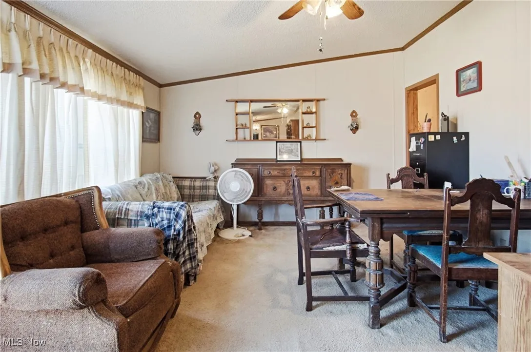 10115 Old River Road, Blue Rock, Ohio 43720,MLS Now Listing ID