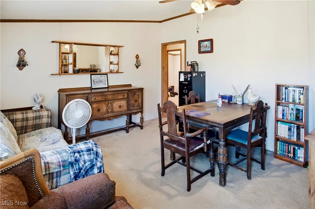 10115 Old River Road, Blue Rock, Ohio 43720,MLS Now Listing ID