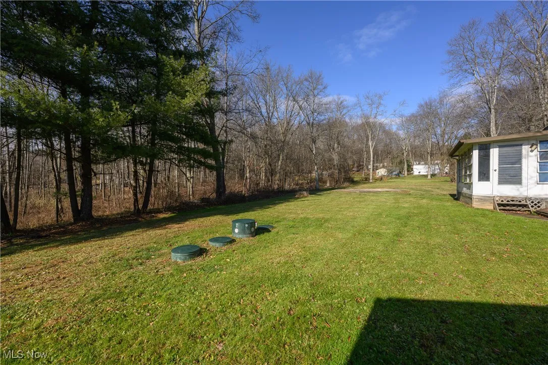 View of grassy yard with view of scattered trees