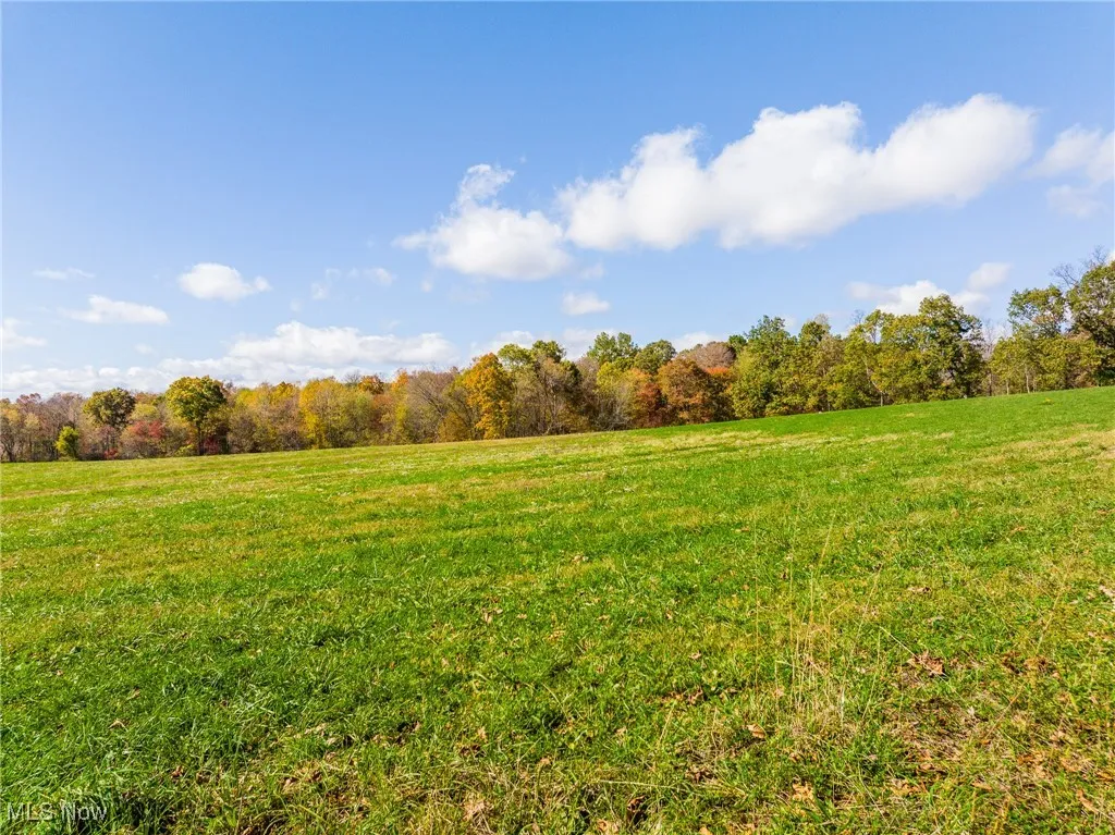 View of green lawn featuring a view of rural / pastoral area and a view of trees
