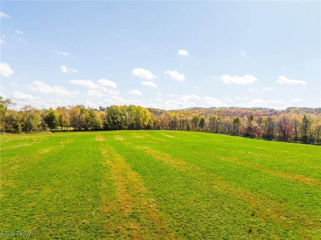 View of green lawn featuring a view of trees