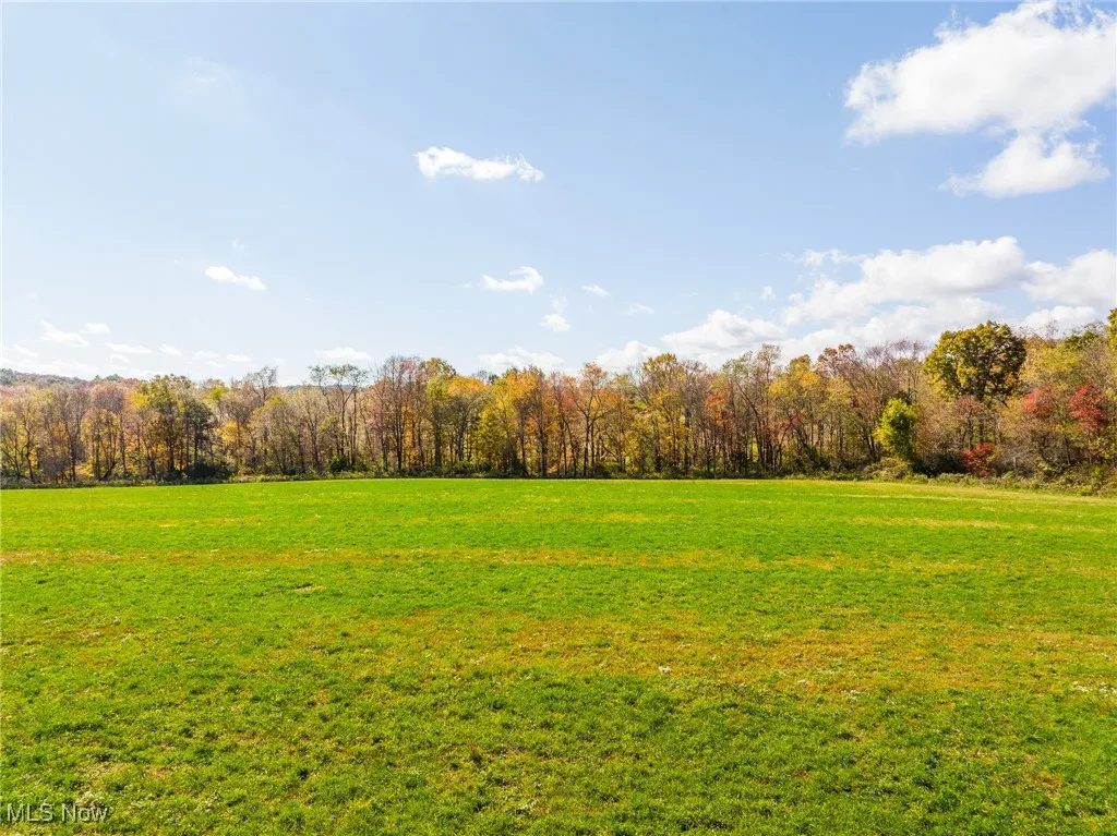 View of green lawn featuring a forest view