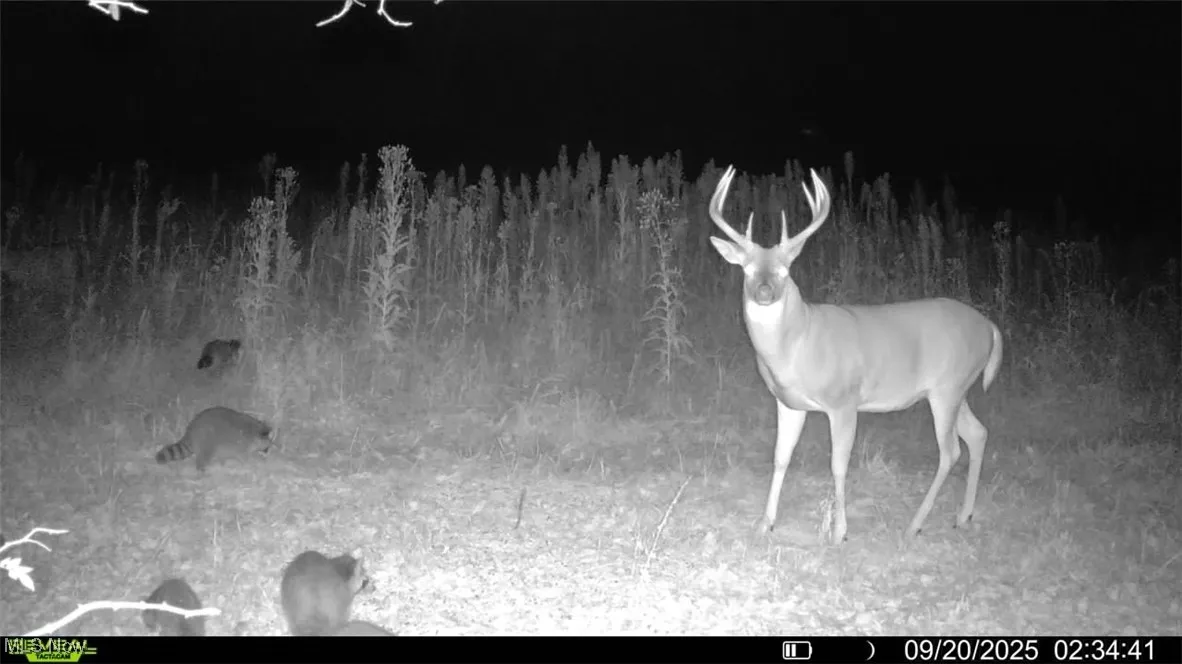 View of property's community