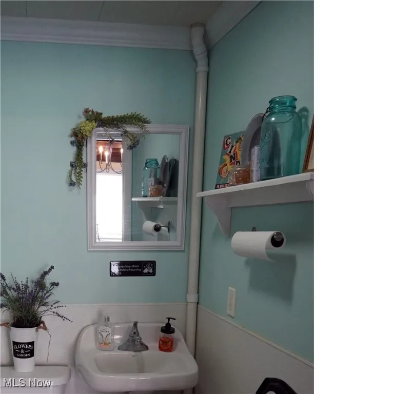 Bathroom featuring crown molding and a sink