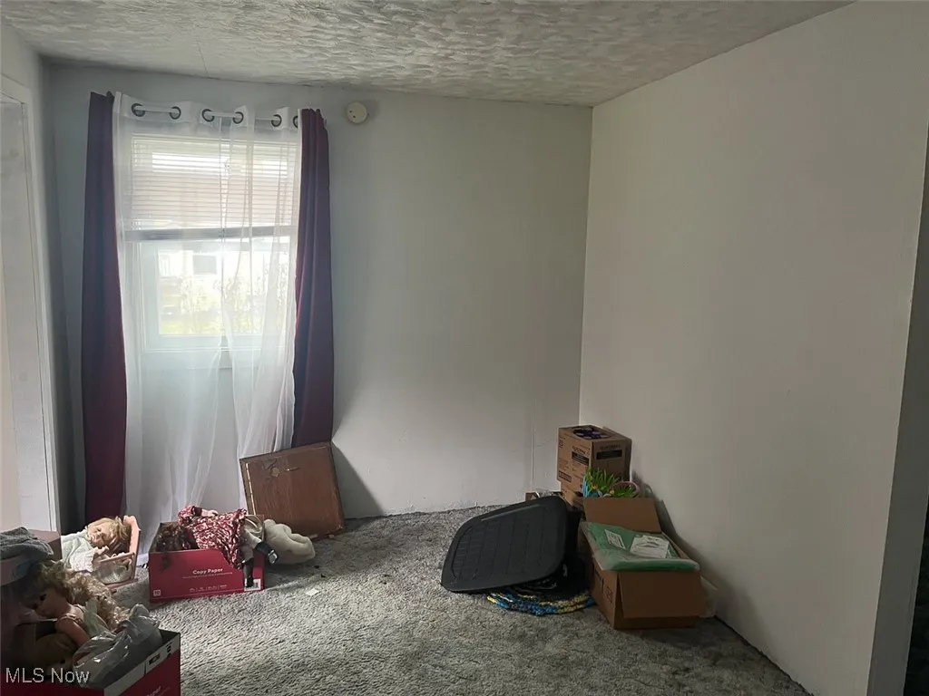 4094 State Route 225, Diamond, Ohio 44412,MLS Now Listing ID