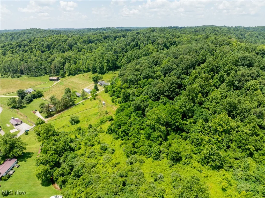 Bird's eye view of a heavily wooded area