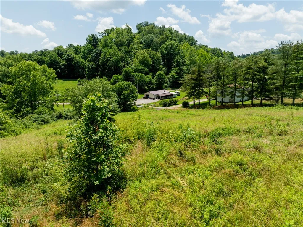 View of woods featuring a rural view