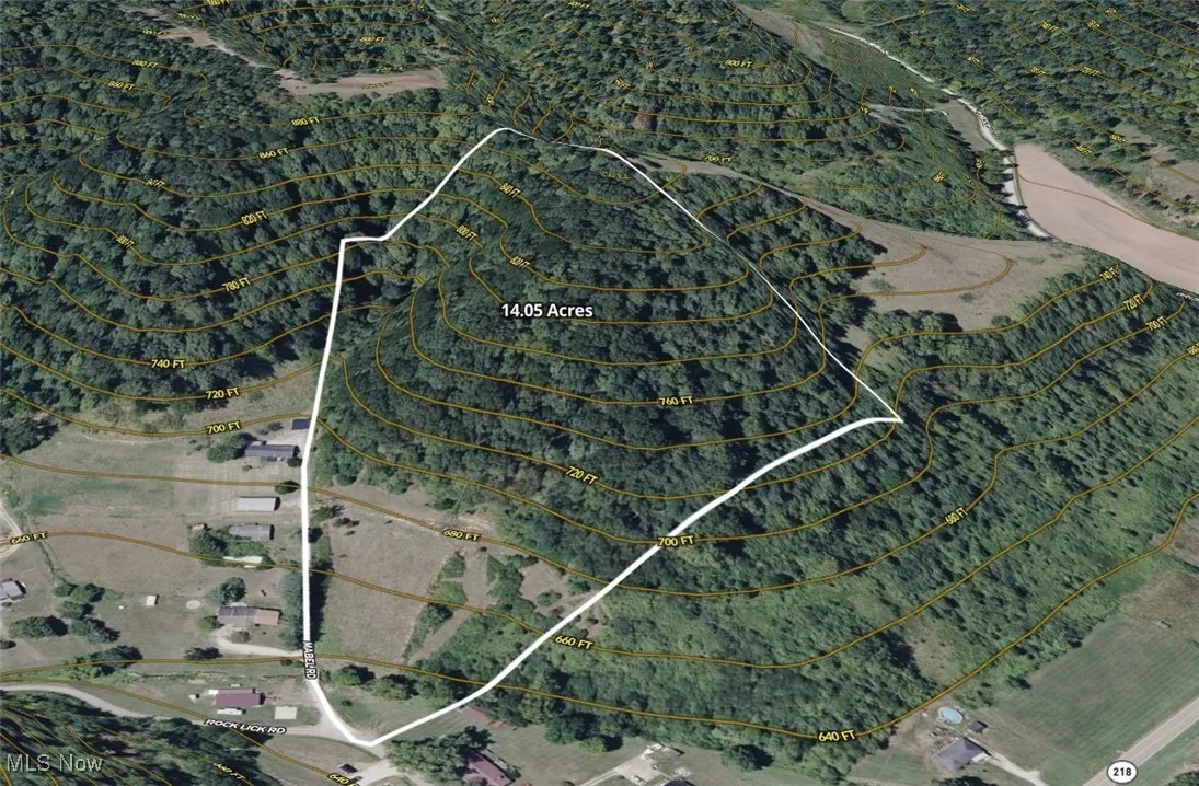 Aerial map of property and surrounding area