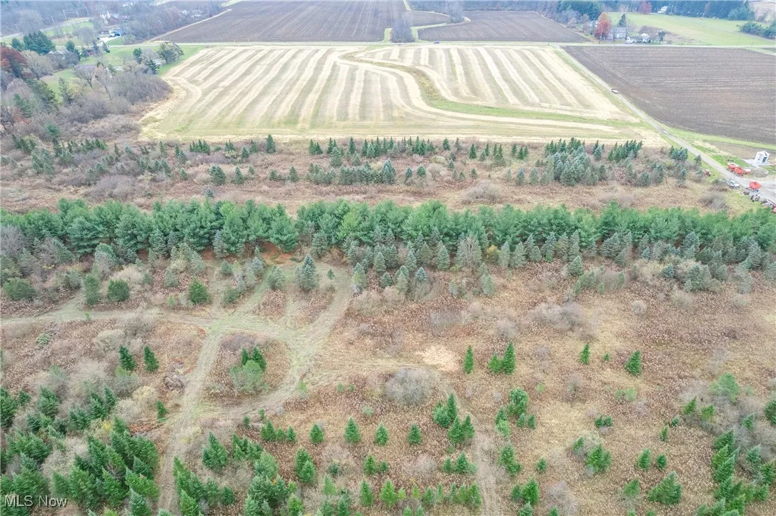 build up front and have a barrier of pines or behind for privacy