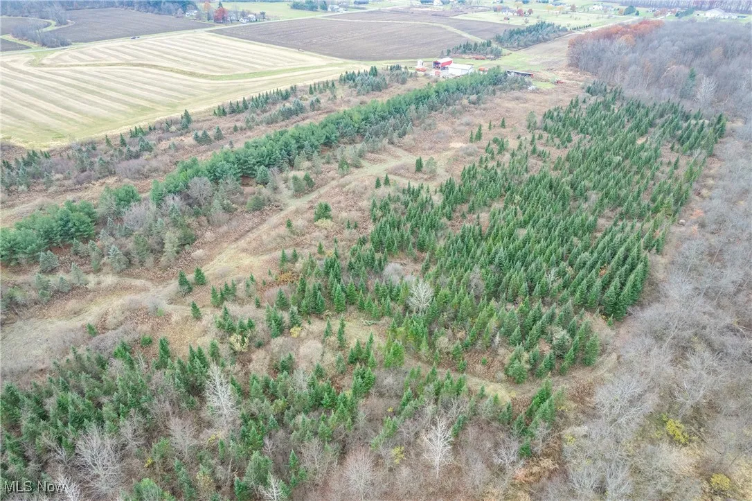 was previously a tree farm