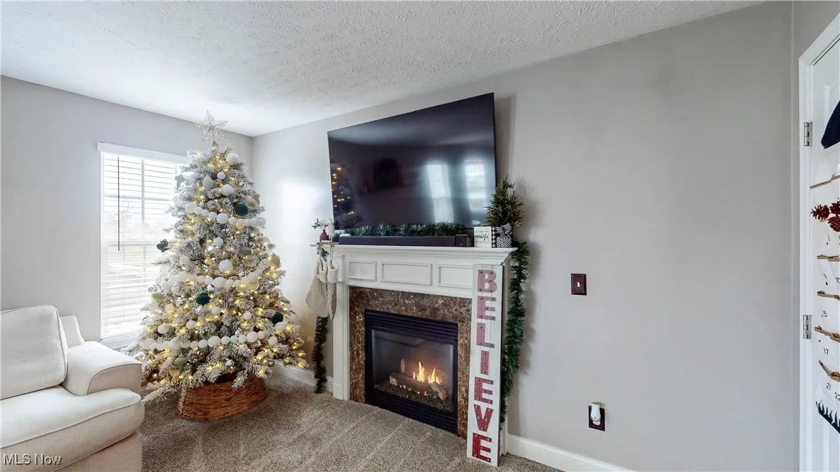 Living area with a high end fireplace, carpet flooring, and a textured ceiling