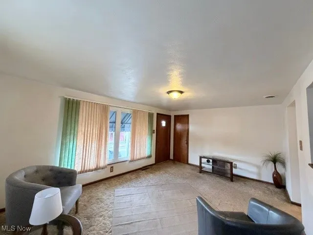 Carpeted living room