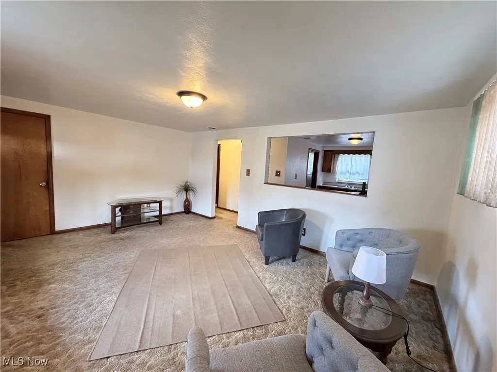 Living room featuring carpet