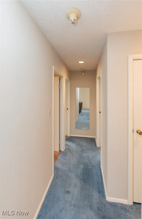 1132 Ranchland Drive, Mayfield Heights, Ohio 44124,MLS Now Listing ID