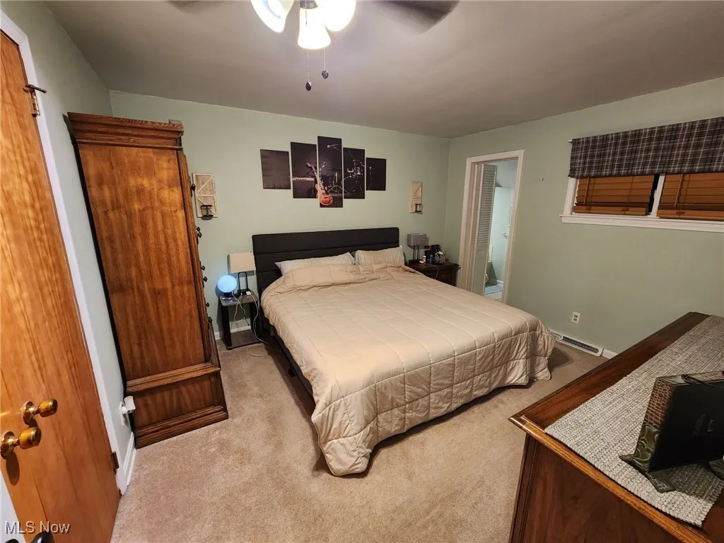 4226 Carlisle Avenue, Youngstown, Ohio 44511,MLS Now Listing ID